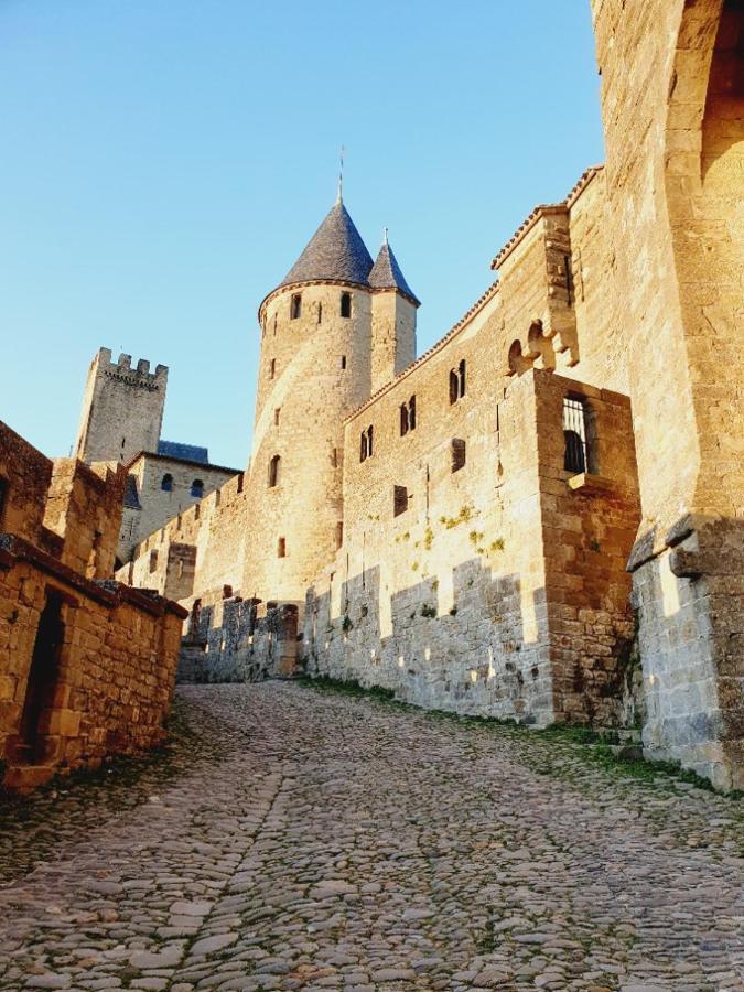 Maison Avec Jardin Au Pied De La Cite Medievale Carcassonne Dış mekan fotoğraf
