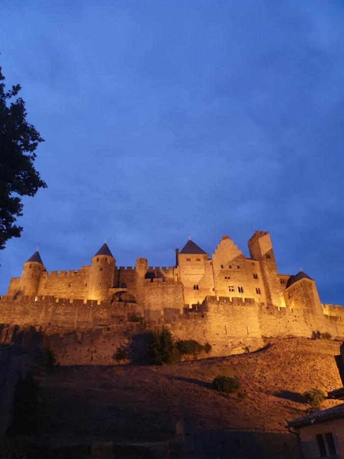 Maison Avec Jardin Au Pied De La Cite Medievale Carcassonne Dış mekan fotoğraf